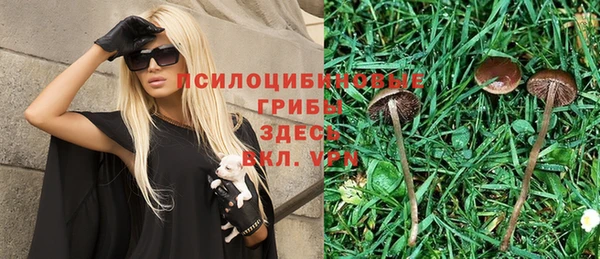 ГАЛЛЮЦИНОГЕННЫЕ ГРИБЫ Белокуриха