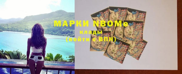 ГАЛЛЮЦИНОГЕННЫЕ ГРИБЫ Белокуриха