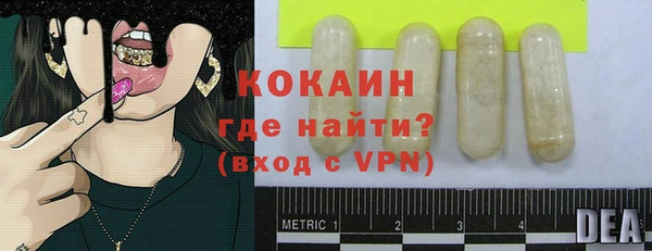 ГАЛЛЮЦИНОГЕННЫЕ ГРИБЫ Белокуриха