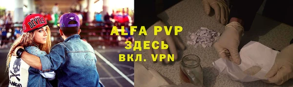 ГАЛЛЮЦИНОГЕННЫЕ ГРИБЫ Белокуриха